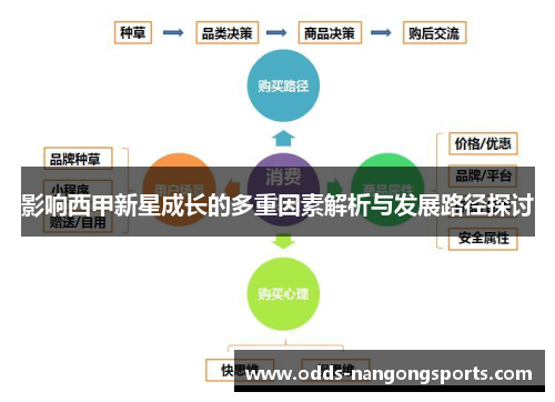 影响西甲新星成长的多重因素解析与发展路径探讨