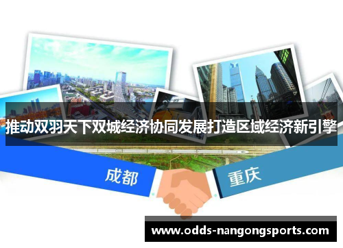 推动双羽天下双城经济协同发展打造区域经济新引擎