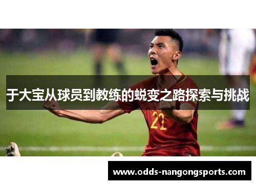 于大宝从球员到教练的蜕变之路探索与挑战