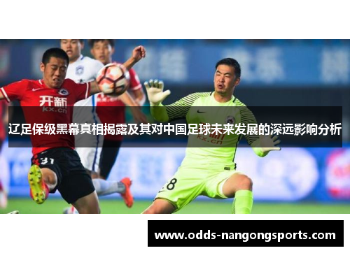 辽足保级黑幕真相揭露及其对中国足球未来发展的深远影响分析