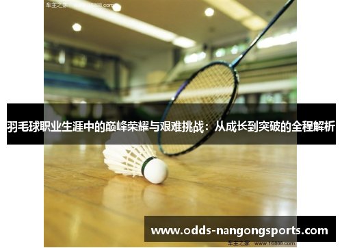 羽毛球职业生涯中的巅峰荣耀与艰难挑战：从成长到突破的全程解析