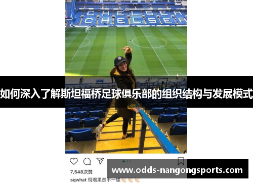 如何深入了解斯坦福桥足球俱乐部的组织结构与发展模式
