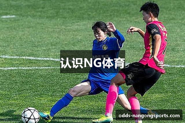 认识NG体育